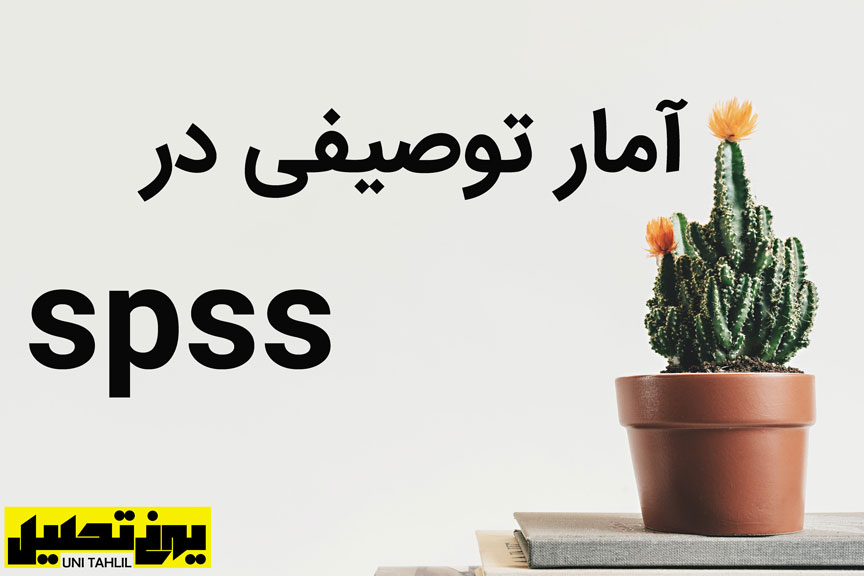 آمار توصیفی در spss