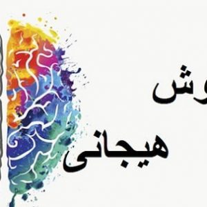 بررسی تأثیر آموزش هوش هیجانی