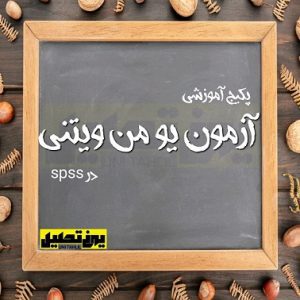 آزمون یو من ویتنی