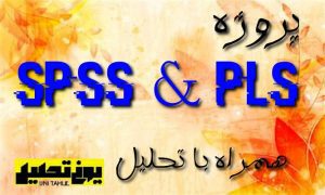 پروژه spss & pls همراه تحلیل