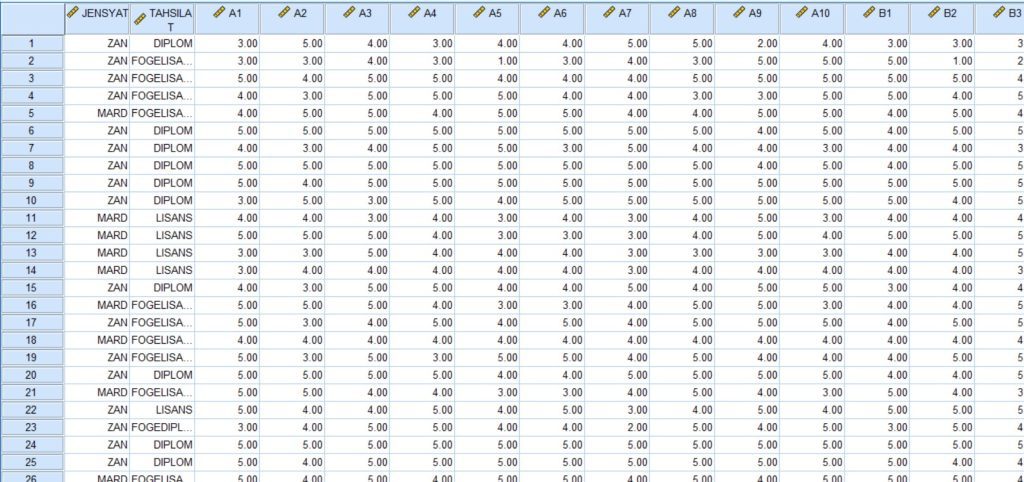 پروژه کلاسی spss