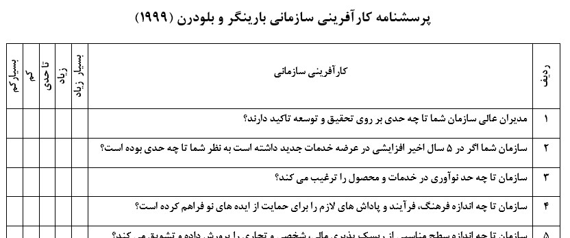 پرسشنامه کارآفرینی سازمانی بارینگر و بلودرن