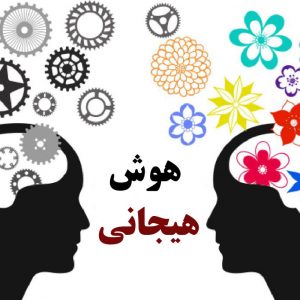 هوش هیجانی
