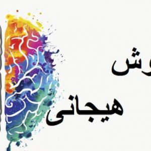 تحقیقات هوش هیجانی