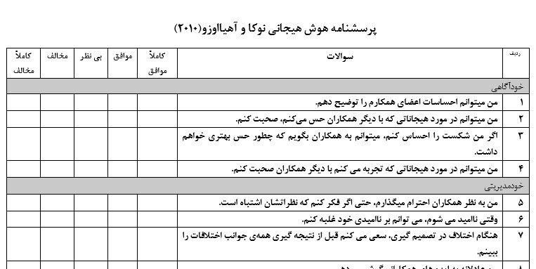 پرسشنامه تحقیقات هوش هیجانی نوکا و آهیااوزو