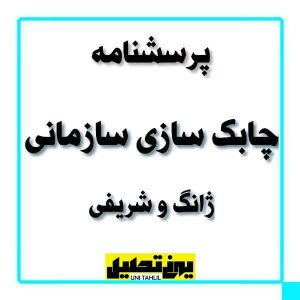 پرسشنامه استاندارد چابک سازی سازمانی از ژانگ و شریفی