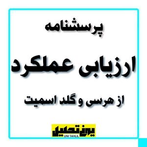 پرسشنامه ارزیابی عملکرد از هرسی و گلد اسمیت