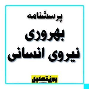 پرسشنامه بهروری نیروی انسانی